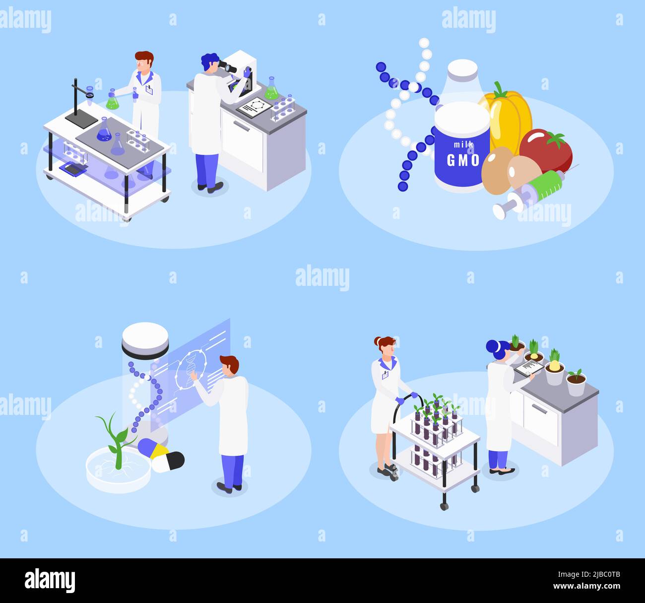 Concept de bio-ingénierie 4 icônes isométriques avec des aliments génétiquement modifiés ogm biotechnologie laboratoire manipulation de l'adn illustration du vecteur Illustration de Vecteur