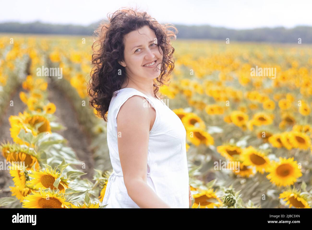 Mise au point douce sur le portrait d'une fille souriante dans le champ de tournesol. Femme aux cheveux bouclés dans la robe blanche marche. Le tournesol est l'agriculture ukrainienne. Or jaune Banque D'Images