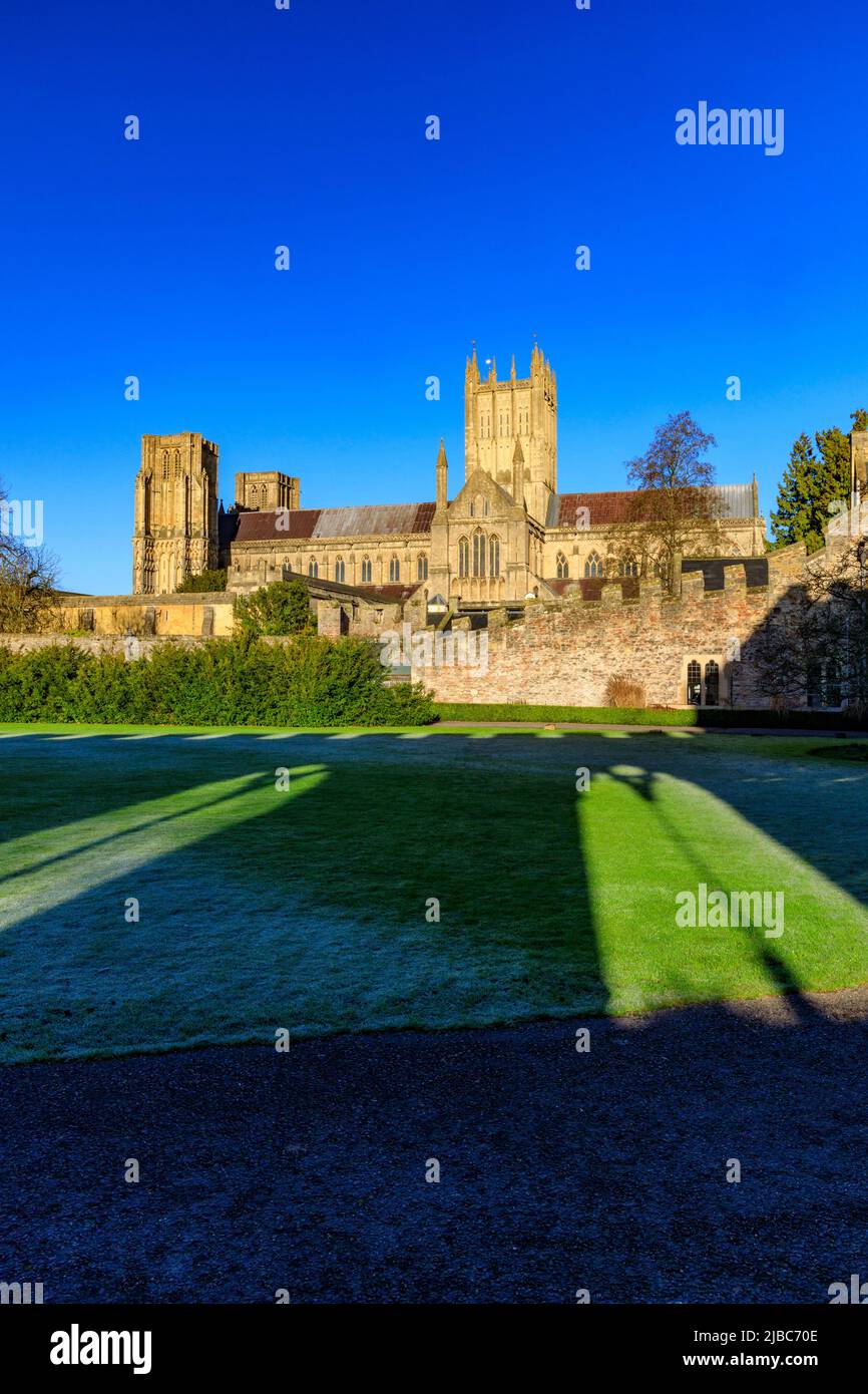 Le gel hivernal et les longues ombres sur la pelouse, mais la cathédrale de Wells est éclairée par le soleil éclatant, Somerset, Angleterre, Royaume-Uni Banque D'Images