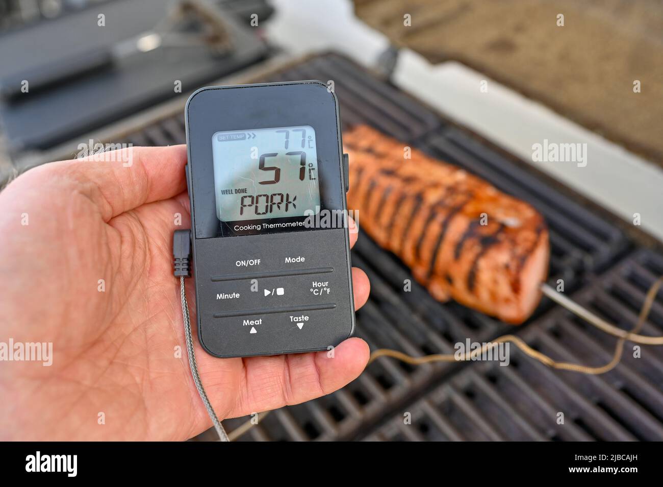 porc grillé avec thermomètre de cuisson et présentation à la main Banque D'Images