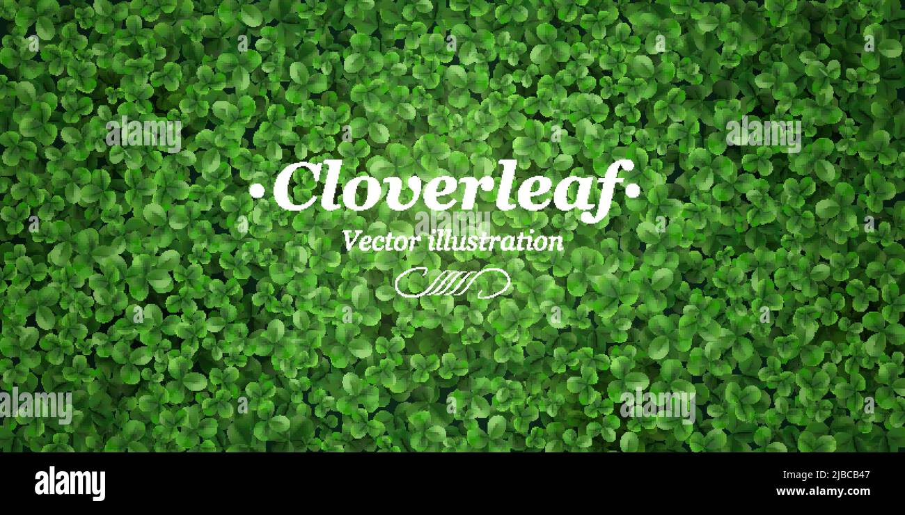 Green Ground cover plantes herbe fond titre affiche supérieure avec feuilles de trèfle réaliste vue de dessus illustration vectorielle Illustration de Vecteur