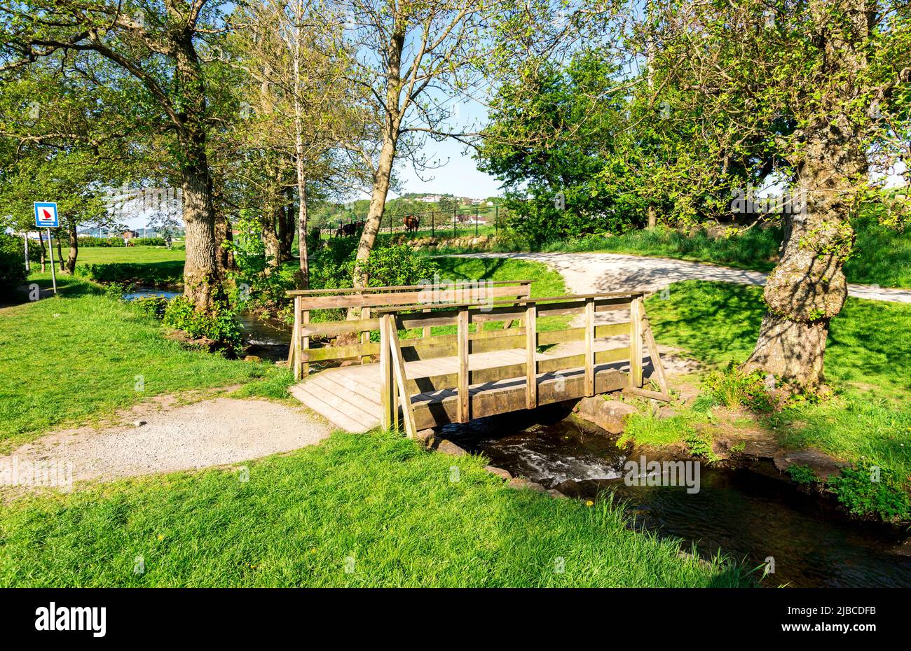 Un ruisseau étroit avec un pont en bois piétonnier dans un petit parc public près du monument « Sword in Rock » et du fjord Hafrsfjord, Stavanger, Norvège, Ma Banque D'Images