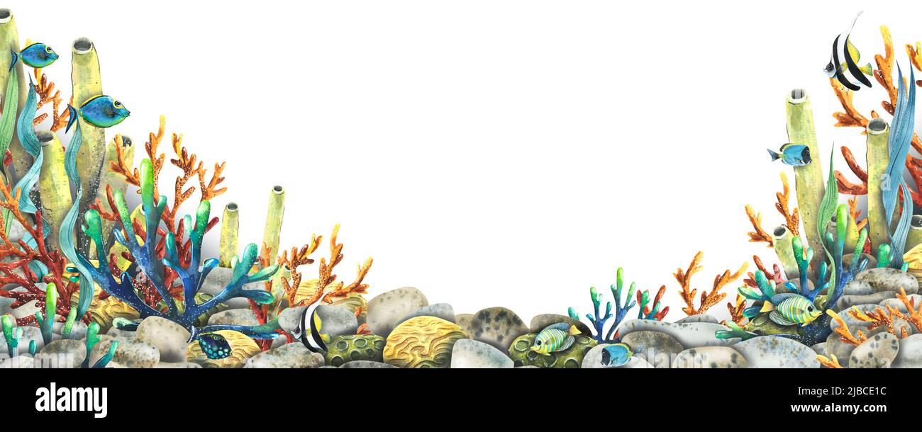 Illustration aquarelle d'une planche horizontale avec un récif de corail marin et des poissons tropicaux. Pour la conception et la décoration des affiches, des cartes postales Banque D'Images