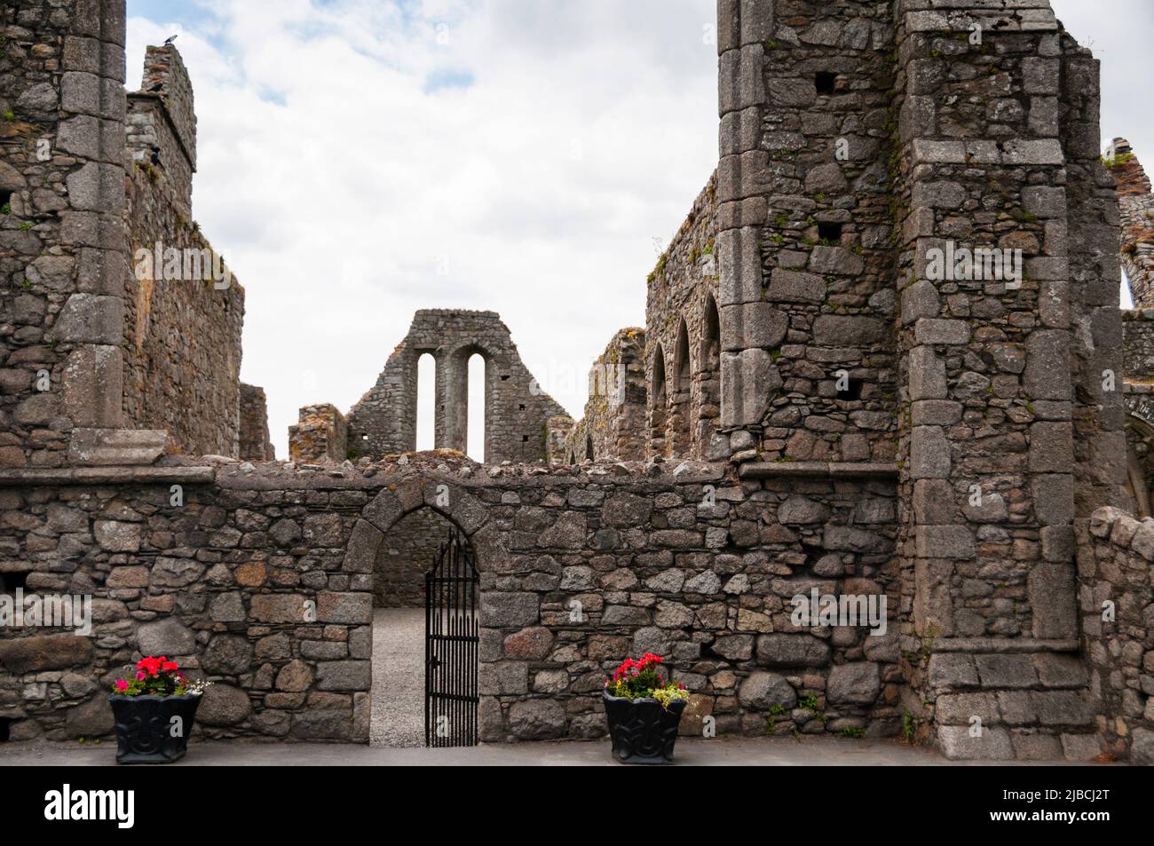 L'abbaye de Castledermot est un friary franciscain ruiné à Casteldermot, en Irlande. Banque D'Images