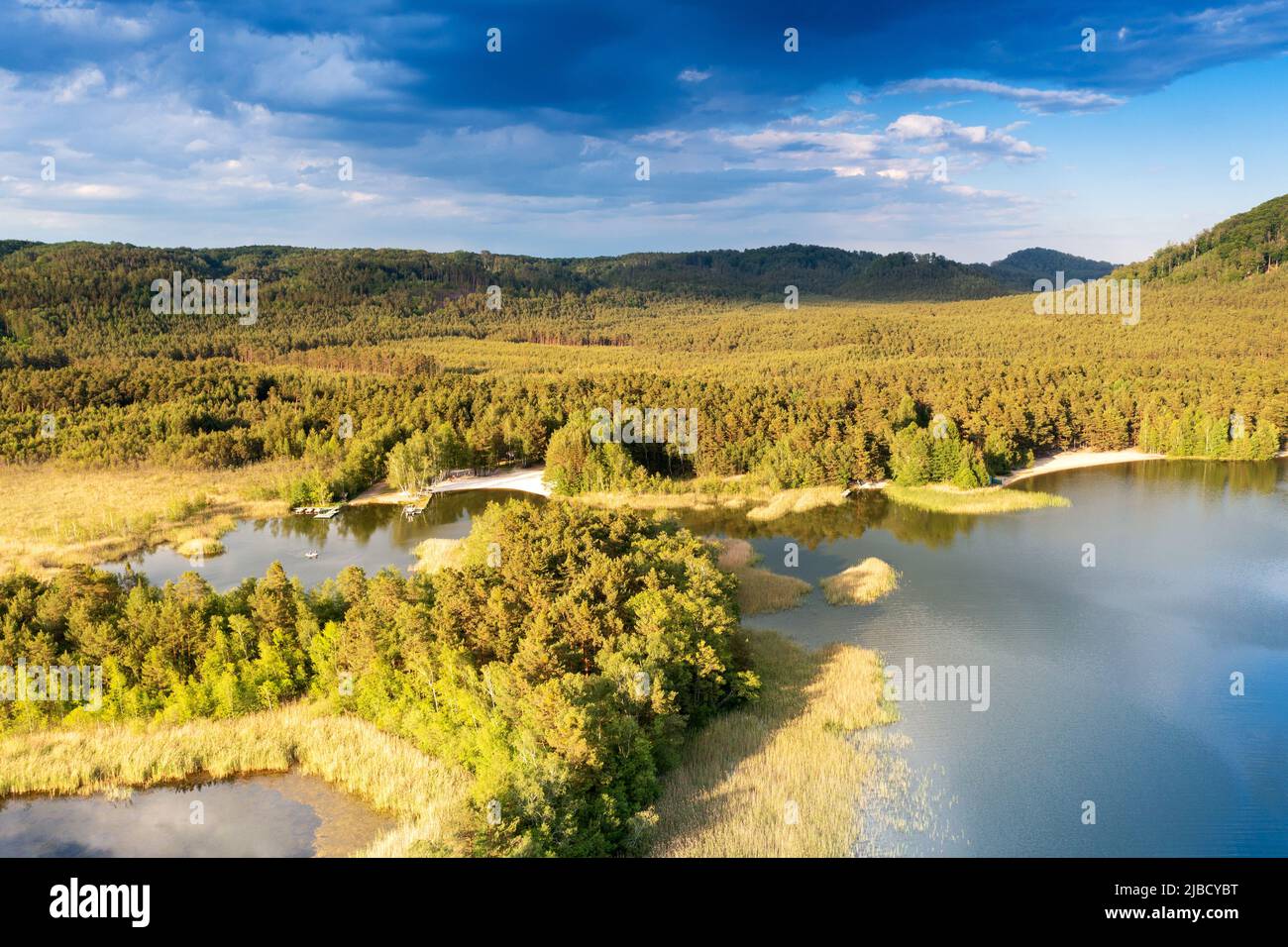 Národní přírodní památka Swamp, Machovo jezero, Máchův kraj, Ceska republika / zone protégée naturelle Swamp, lac de Macha, république Tchèque Banque D'Images
