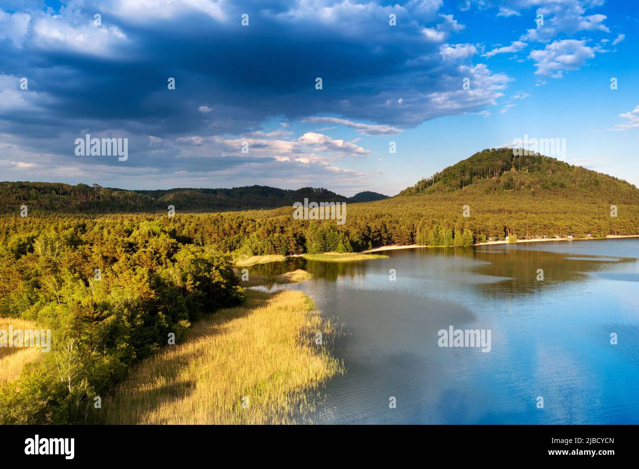 Národní přírodní památka Swamp, Machovo jezero, Máchův kraj, Ceska republika / zone protégée naturelle Swamp, lac de Macha, république Tchèque Banque D'Images