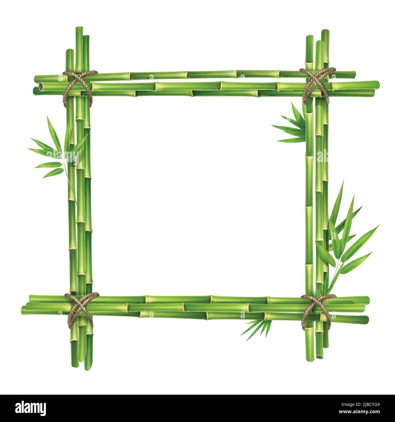 Cadre vectoriel à partir de tiges et de feuilles de bambou attachées avec une corde isolée sur fond blanc Illustration de Vecteur