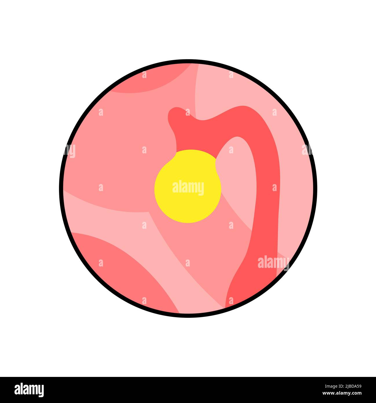 Presse-étoupe pinéal, illustration Banque D'Images