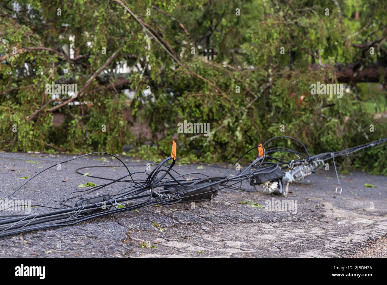 Gros plan de la mise au point sélective des fils d'alimentation électrique dangereux qui se trouvent sur le tarmac de la route principale après que les vents violents ont fait tomber les lignes électriques aériennes. Banque D'Images