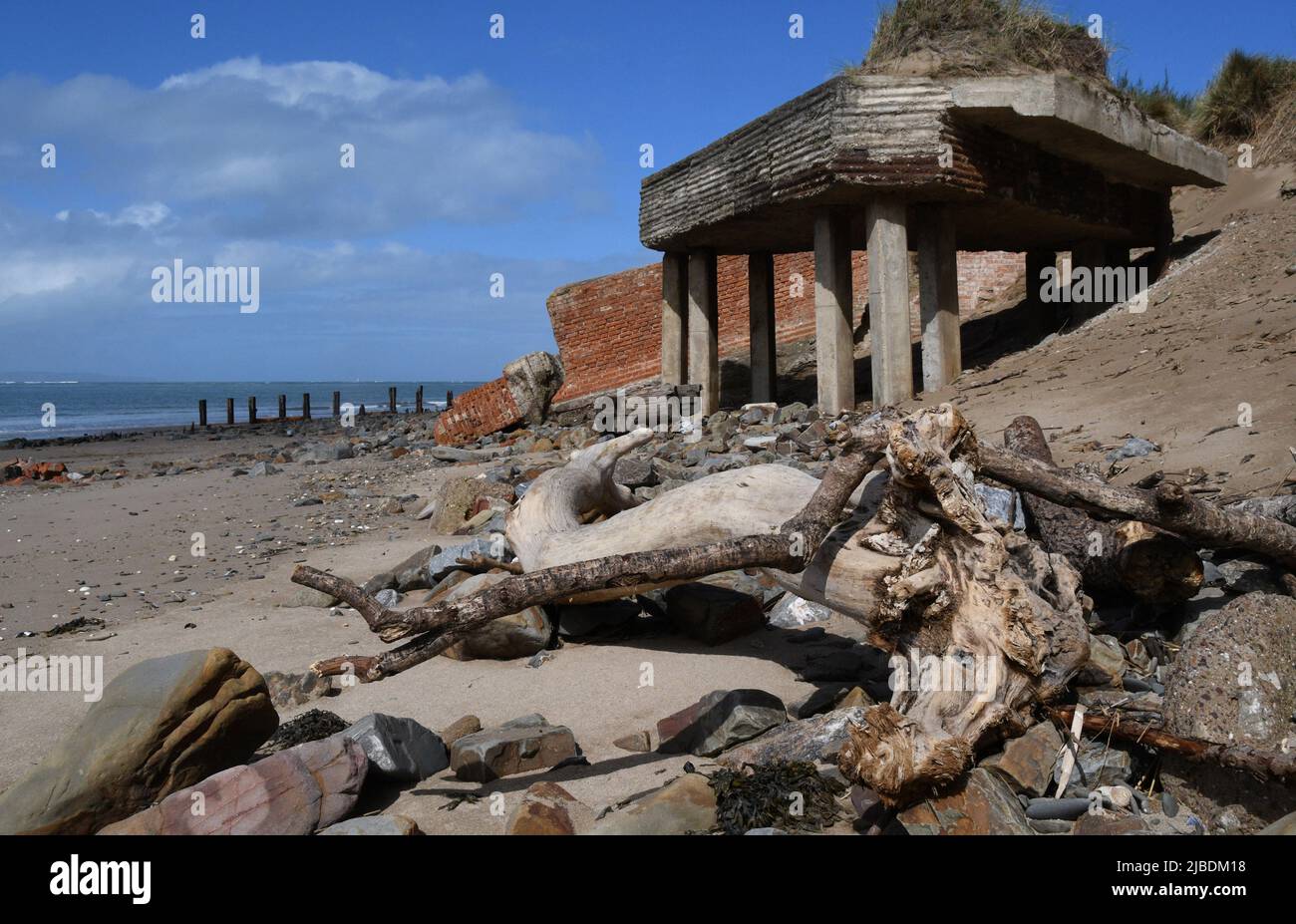Arbres lavés à la mer et structures faites par l'homme, partie de l'ancienne maison de lumière, détruite par la mer sur la côte nord du Devon parmi la dune de Braunton Burrows Banque D'Images
