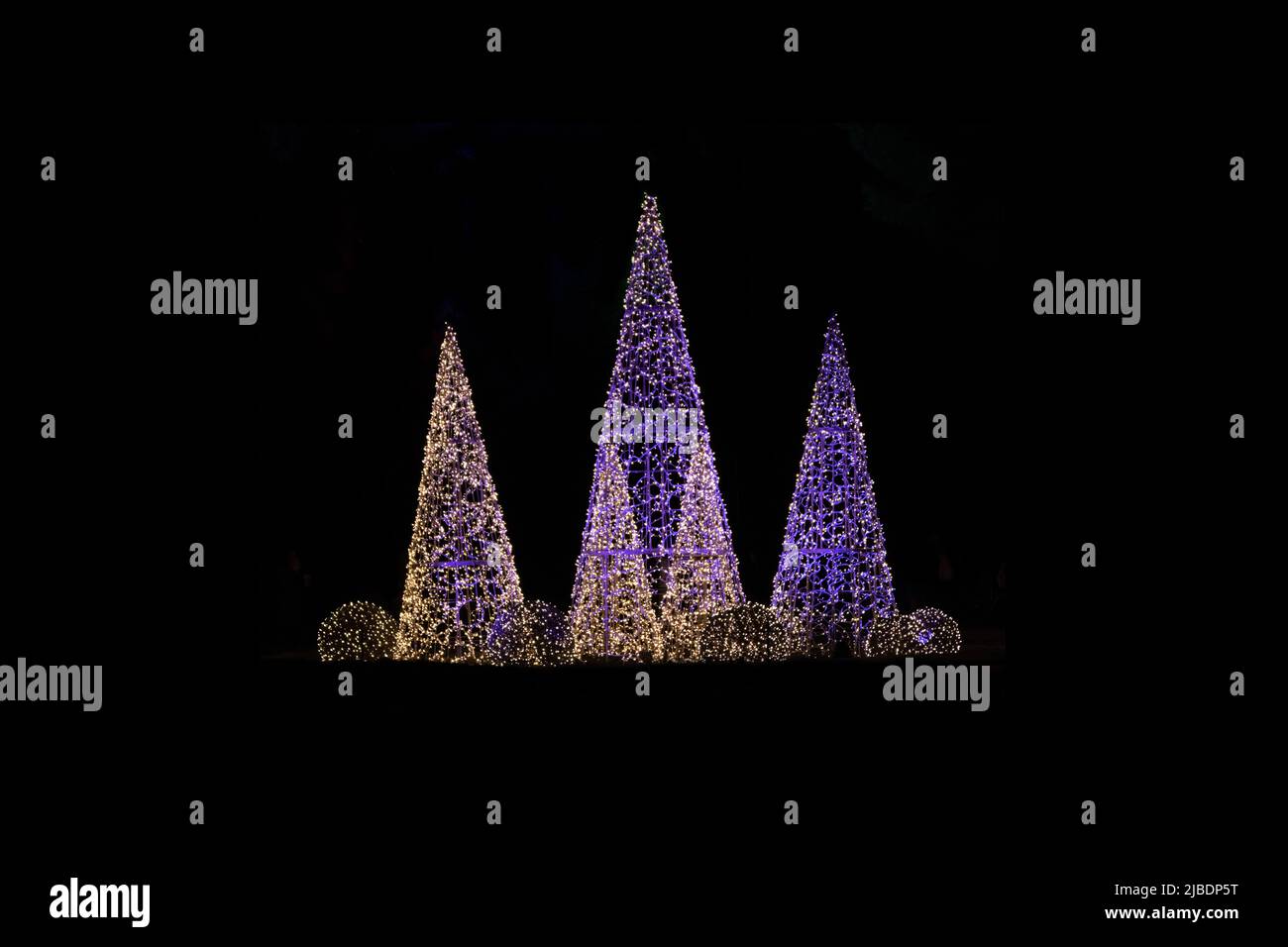 arbres de noël décoratifs couverts de lumières colorées dehors la nuit Banque D'Images