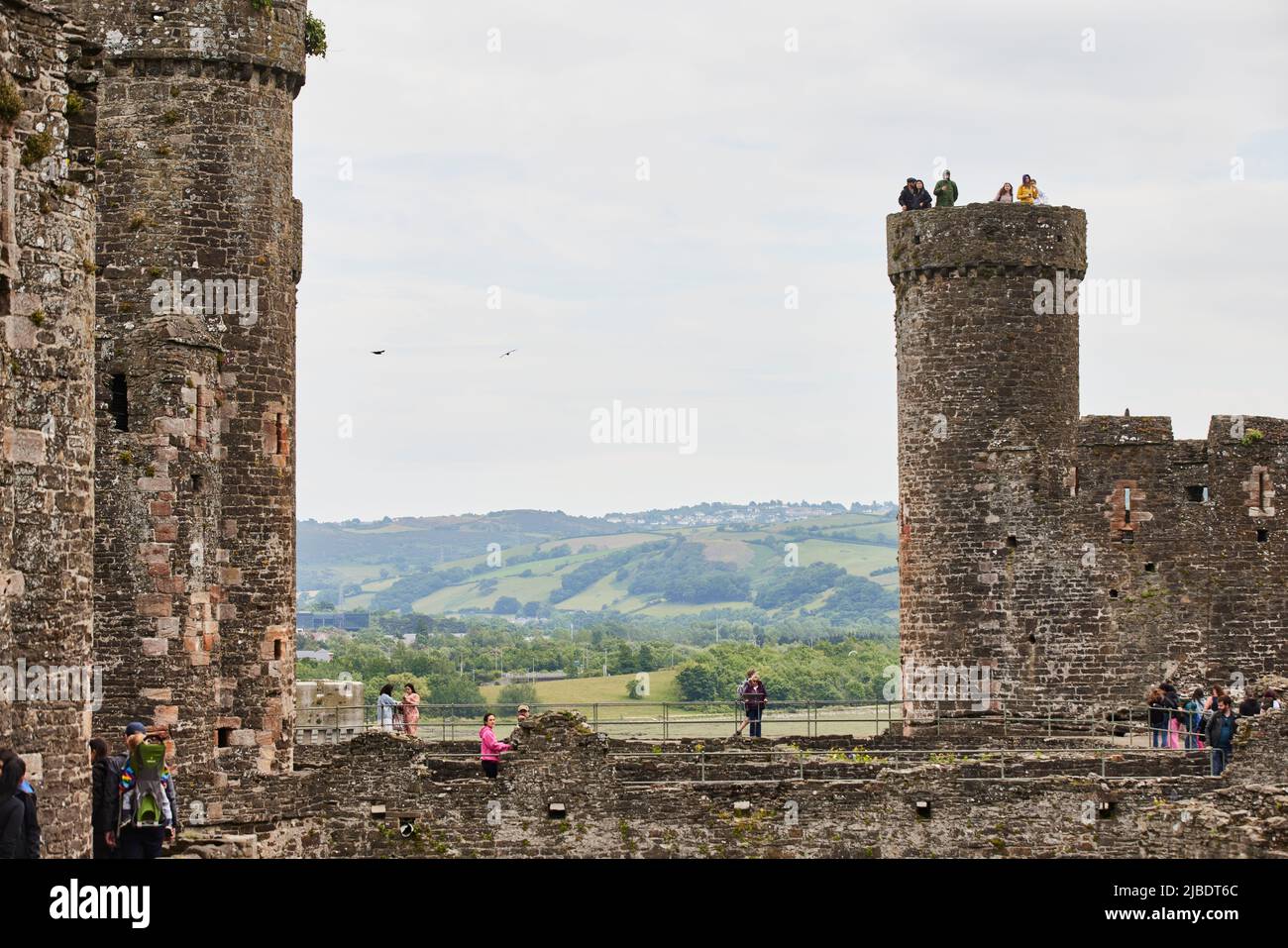 Conwy, nord du pays de Galles, tours du château de Conwy Banque D'Images