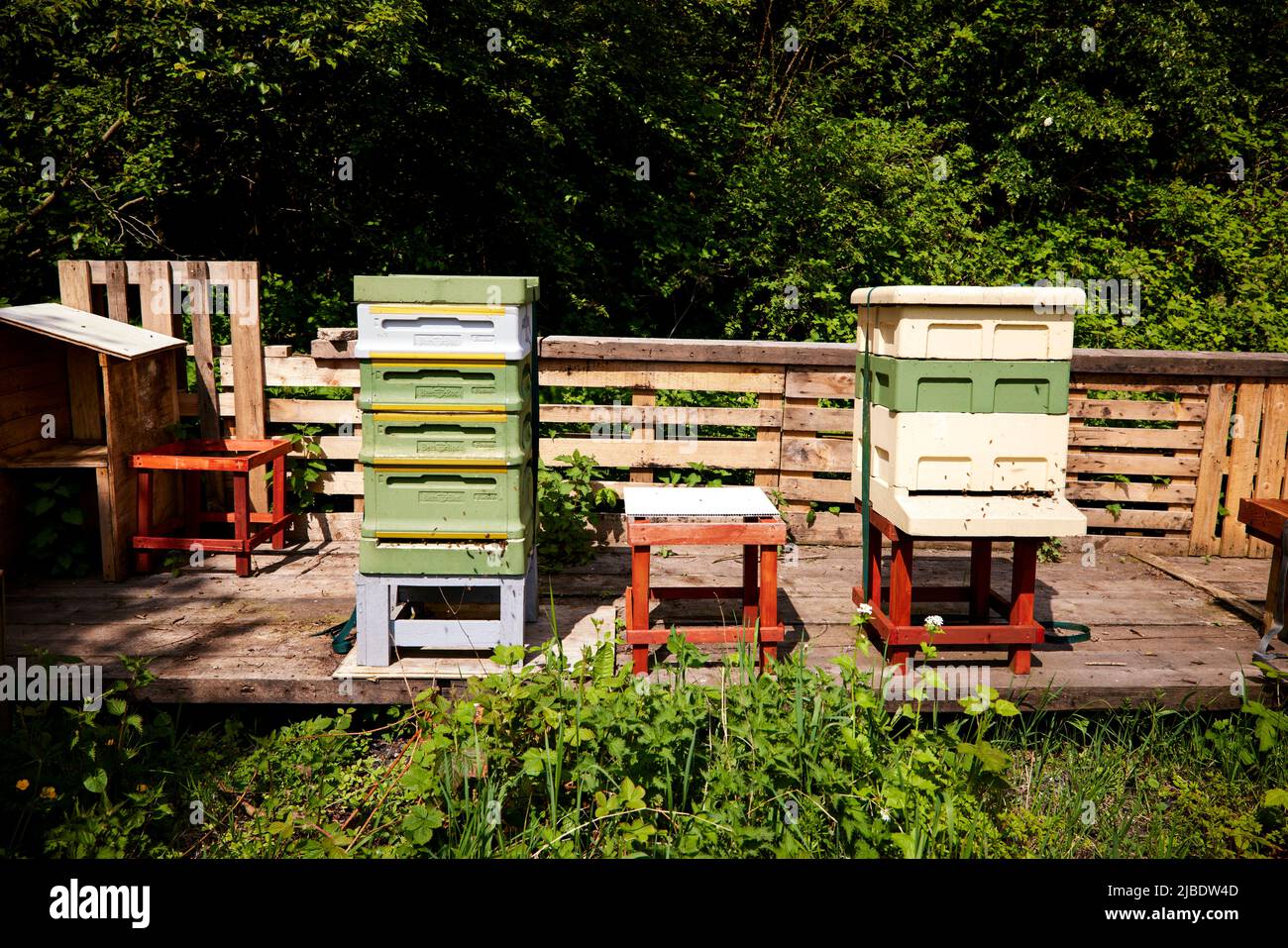Les influenceurs et les Fiskars du Nord-Ouest prennent le contrôle des  parcelles à Abbey Hey Allotments, à Gorton, Manchester, pour faire des  jardins d'abeille pour World Bee Da Photo Stock - Alamy