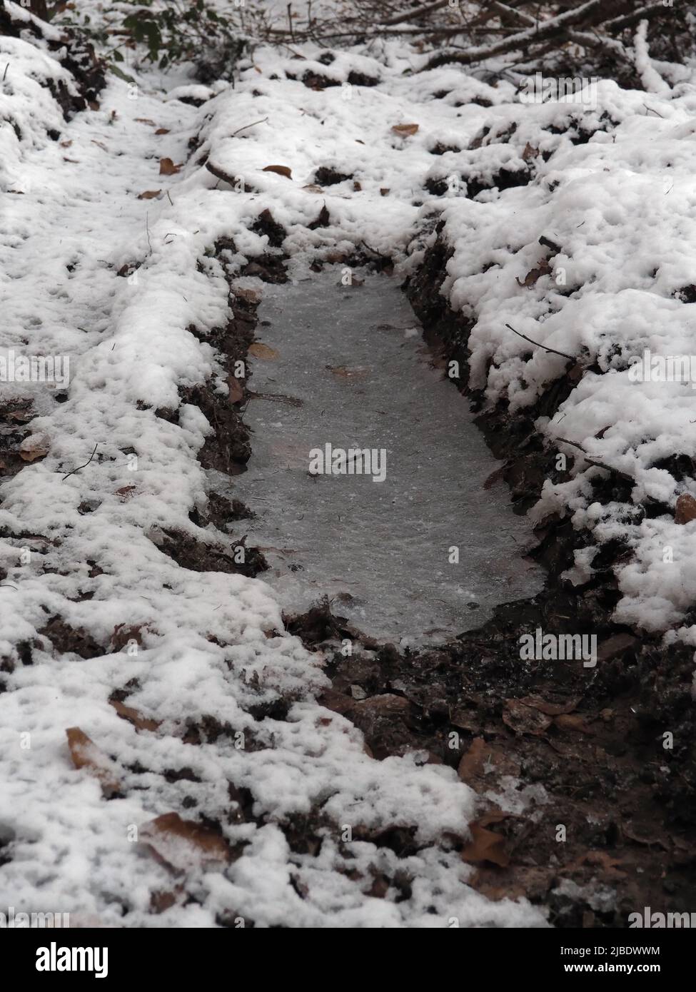 Une petite flaque a gelé sur une piste de pneus sur un terrain enneigé. Banque D'Images