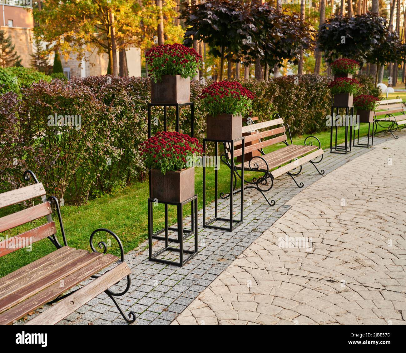 fleurs en plein air dans des bains dans un parc paysagé pour la détente, le soir dans les rayons du soleil couchant, sièges en bois avec des rampes en métal Banque D'Images