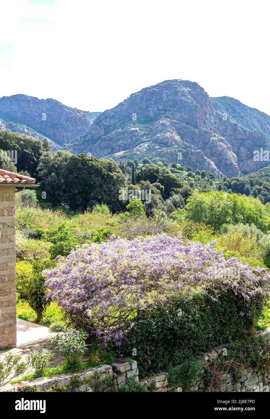 Paysage de montagne vue du village, Ocana, Corse (Corse), Corse-du-Sud, France Banque D'Images