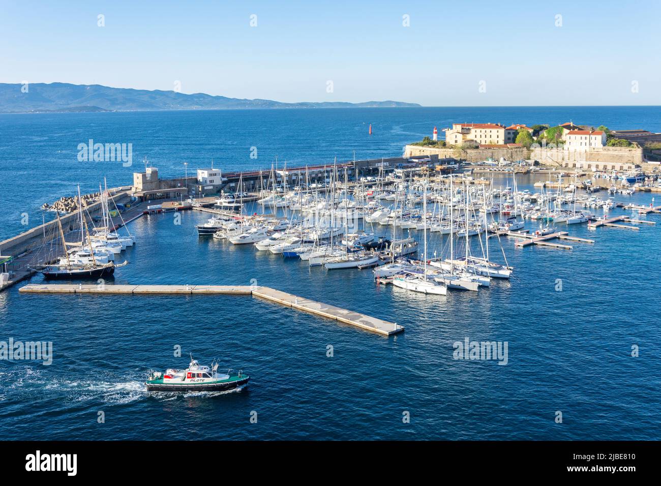 Bateau pilote (pilote) entrant dans le Vieux Port, Ajaccio (Aiacciu), Corse (Corse), Corse-du-Sud, France Banque D'Images