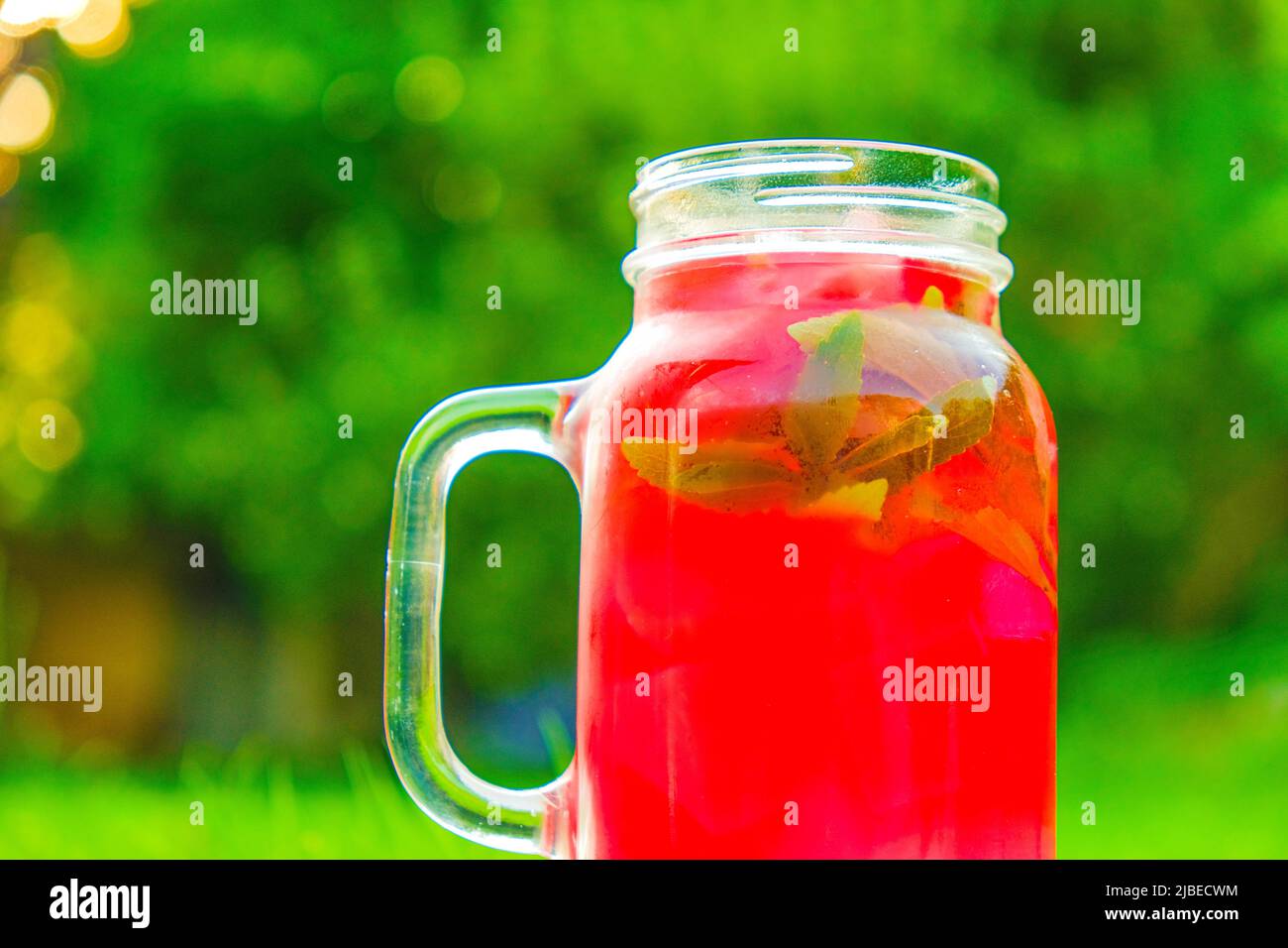 Boisson d'été de pastèque avec stevia.refroidissement rouge avec cocktail de glace en verre tasse brumisée.tasse de boisson de pastèque dans un jardin d'été. Banque D'Images