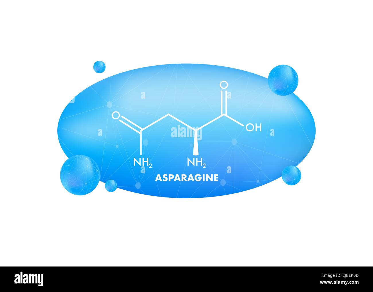 Biologie moléculaire. Asparagine L-asparagine , ASN, molécule d'acide aminé N. Illustration de Vecteur