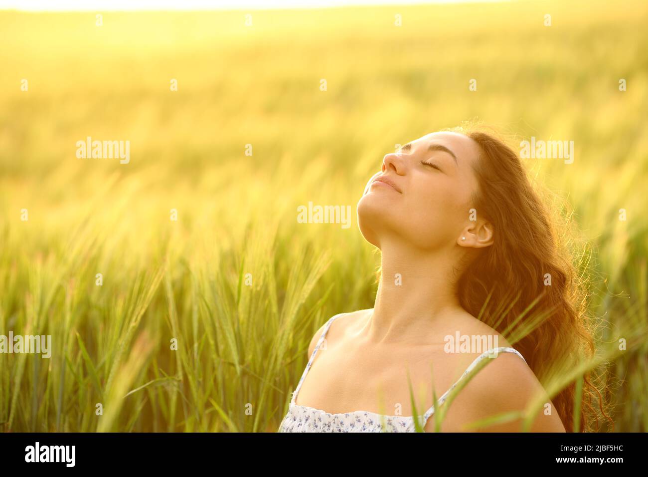 Femme détendue respirant de l'air frais assis dans un champ de blé au coucher du soleil Banque D'Images