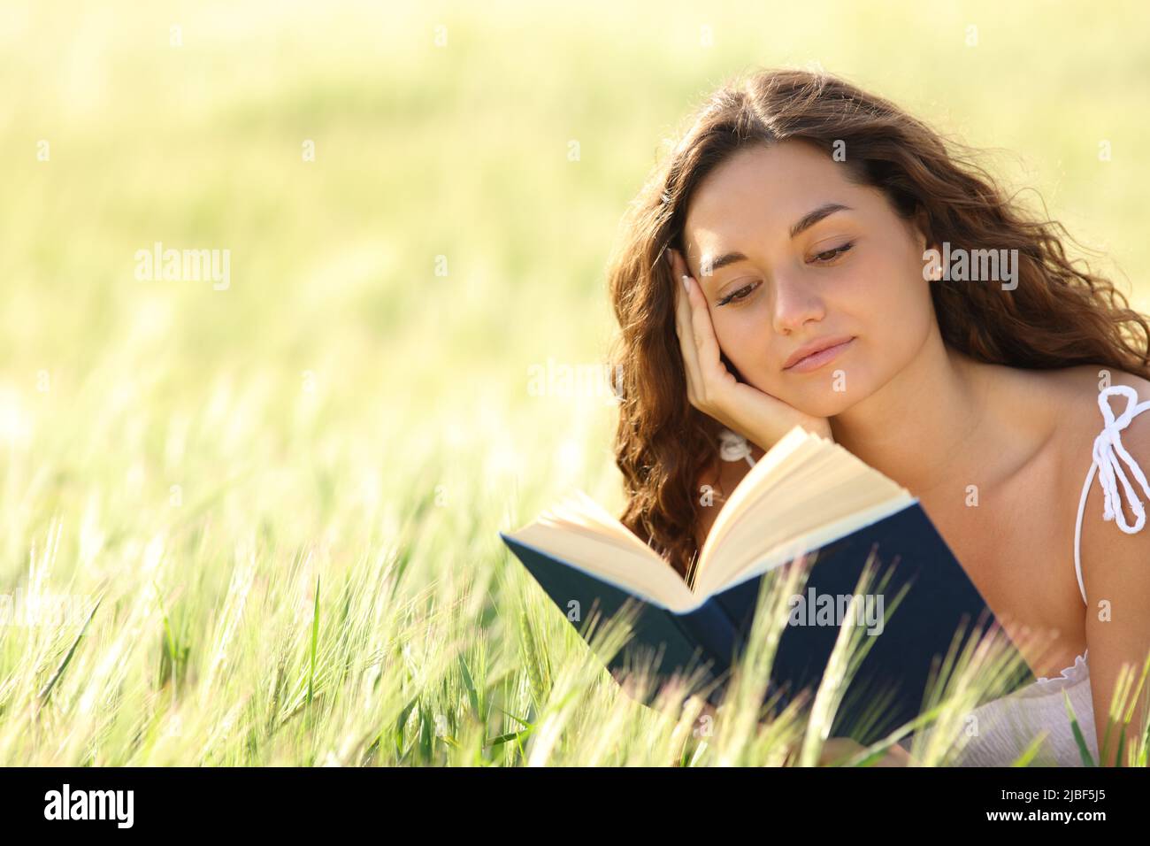 Femme lisant un livre en papier assis dans un champ de blé Banque D'Images