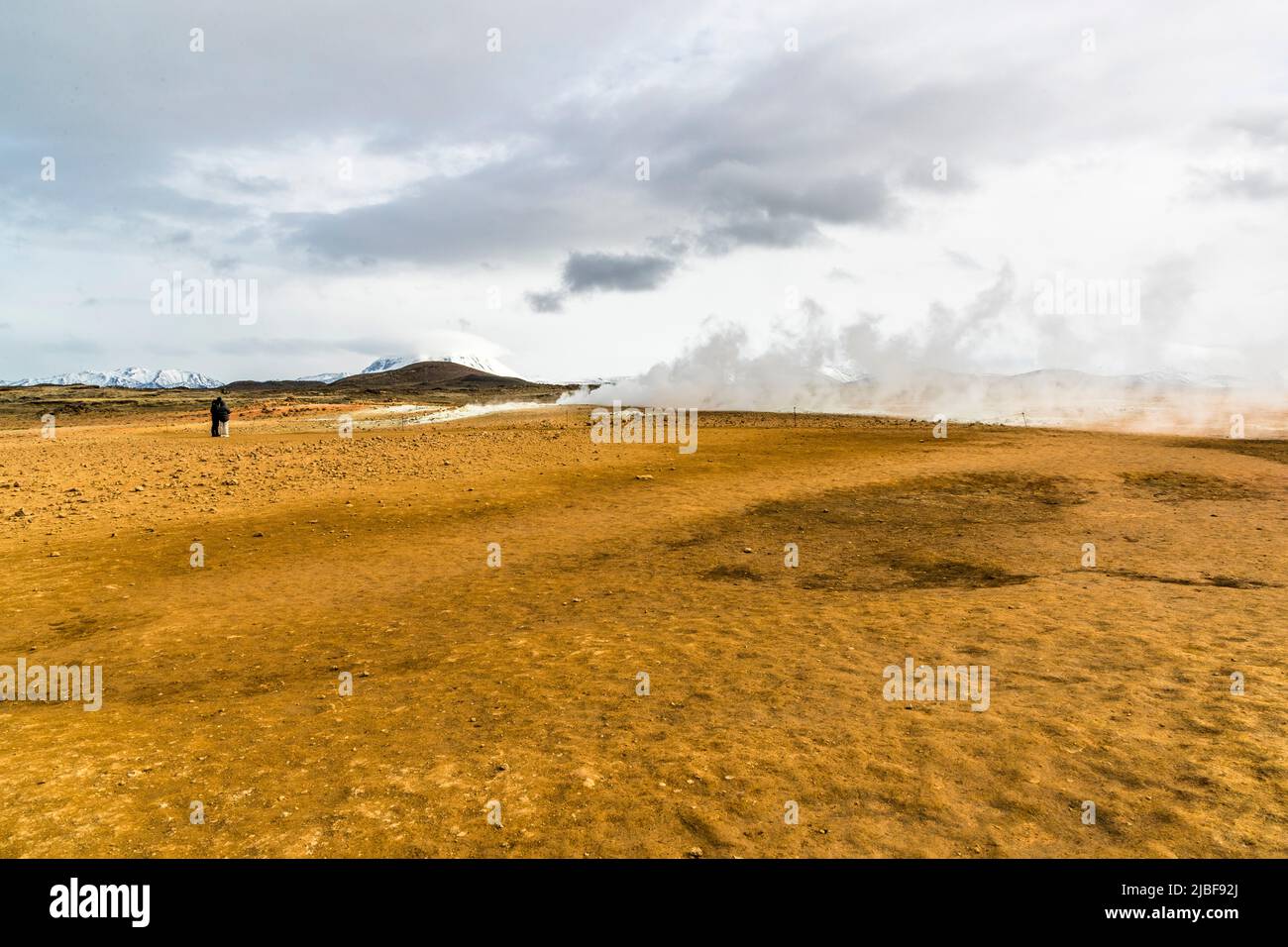 Hverir, en Islande, est un lieu géothermique réputé pour ses bouillonnants de boue et de fumaroles à vapeur émettant du gaz sulfurique Banque D'Images