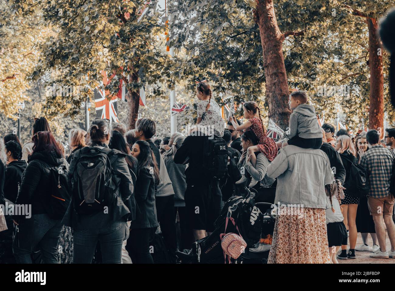 Londres le long du Mall dans l'année du Jubilé de platine Banque D'Images