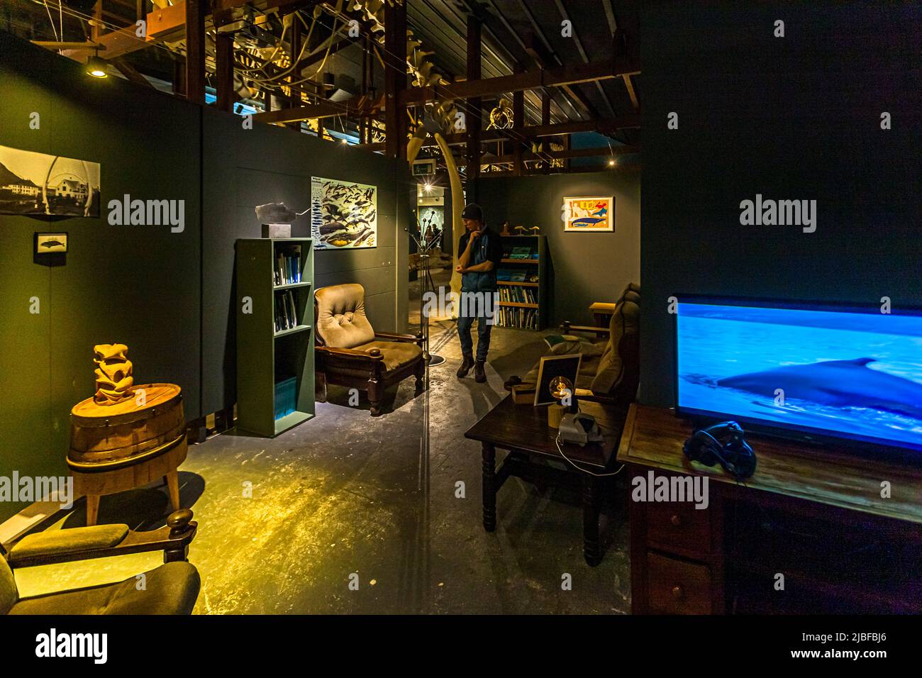 Le Musée des baleines de Húsavík (Islande) utilise différents types de médias. La bibliothèque du musée est aménagée comme un salon où vous pourrez parcourir et regarder des vidéos Banque D'Images