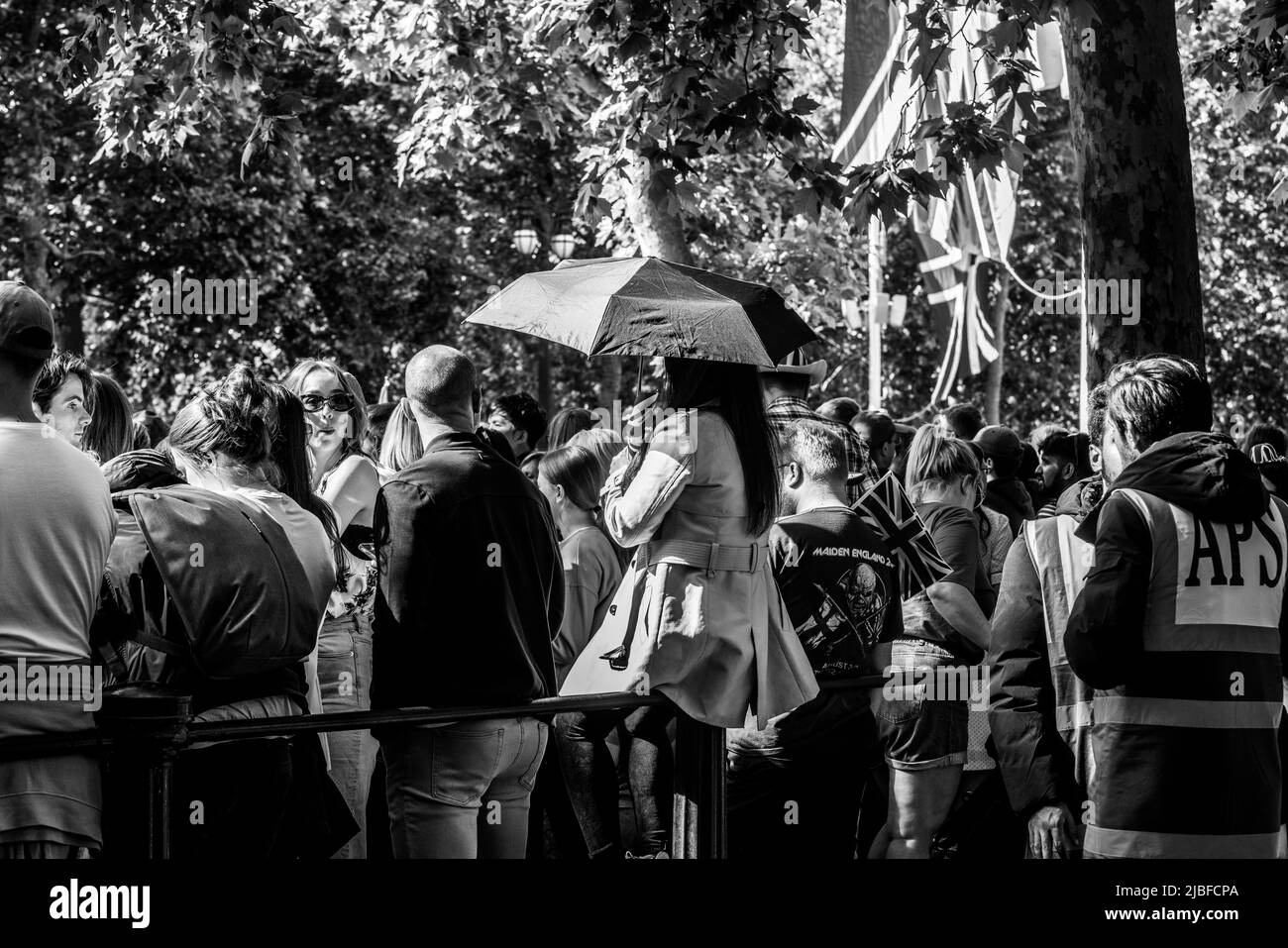 Londres le long du Mall dans l'année du Jubilé de platine Banque D'Images