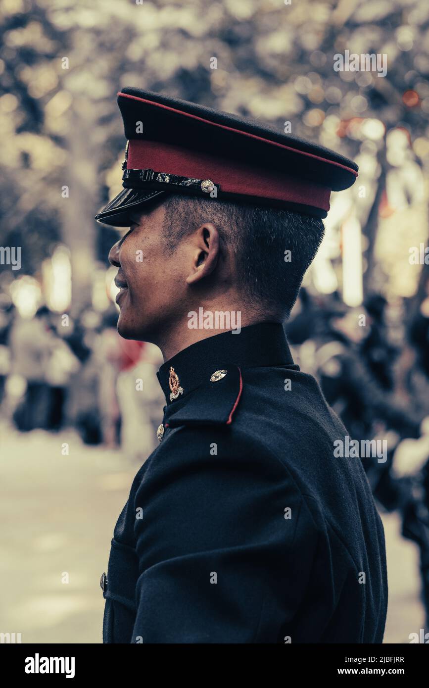 Londres le long du Mall dans l'année du Jubilé de platine Banque D'Images