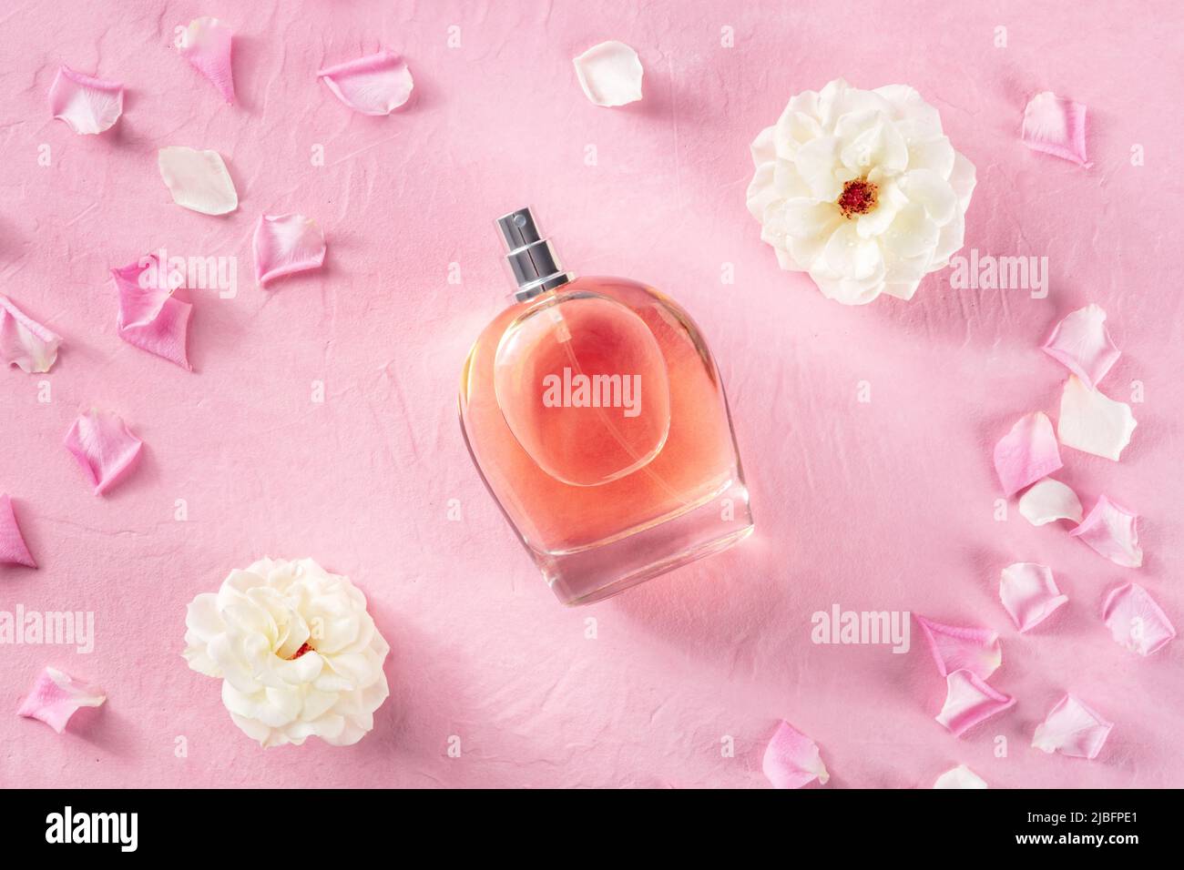 Concept de parfum. Une bouteille de parfum de rose, plat de dessus de lit  sur un fond rose avec des fleurs et des pétales frais, une essence florale  organique Photo Stock -