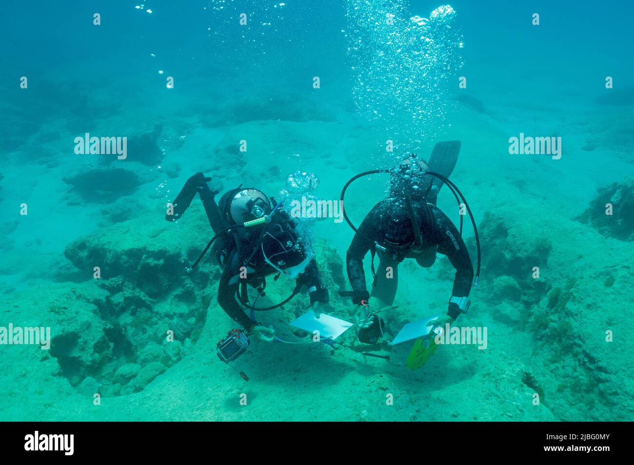 Biologistes marins arpentant les paramètres de surveillance dans la zone de protection marine de Kas Kekova en Turquie Banque D'Images