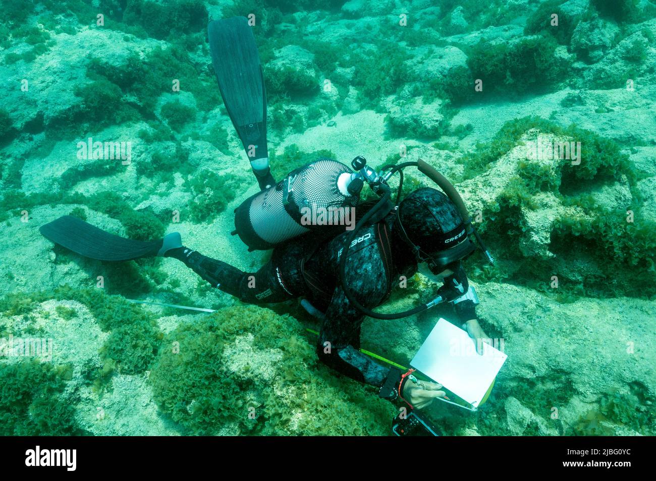 Biologistes marins arpentant les paramètres de surveillance dans la zone de protection marine de Kas Kekova en Turquie Banque D'Images