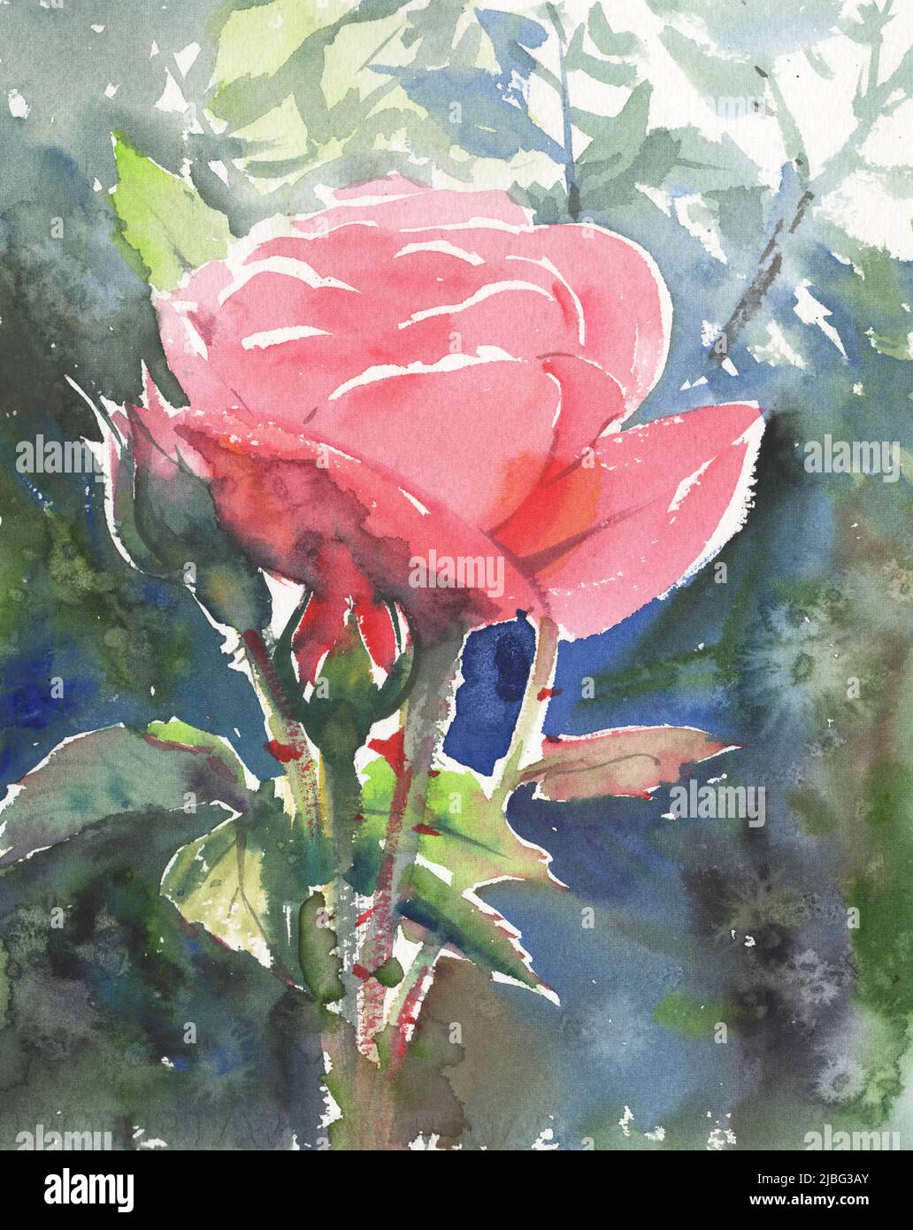 Illustration de l'aquarelle des fleurs roses. Bouquet délicat. Banque D'Images