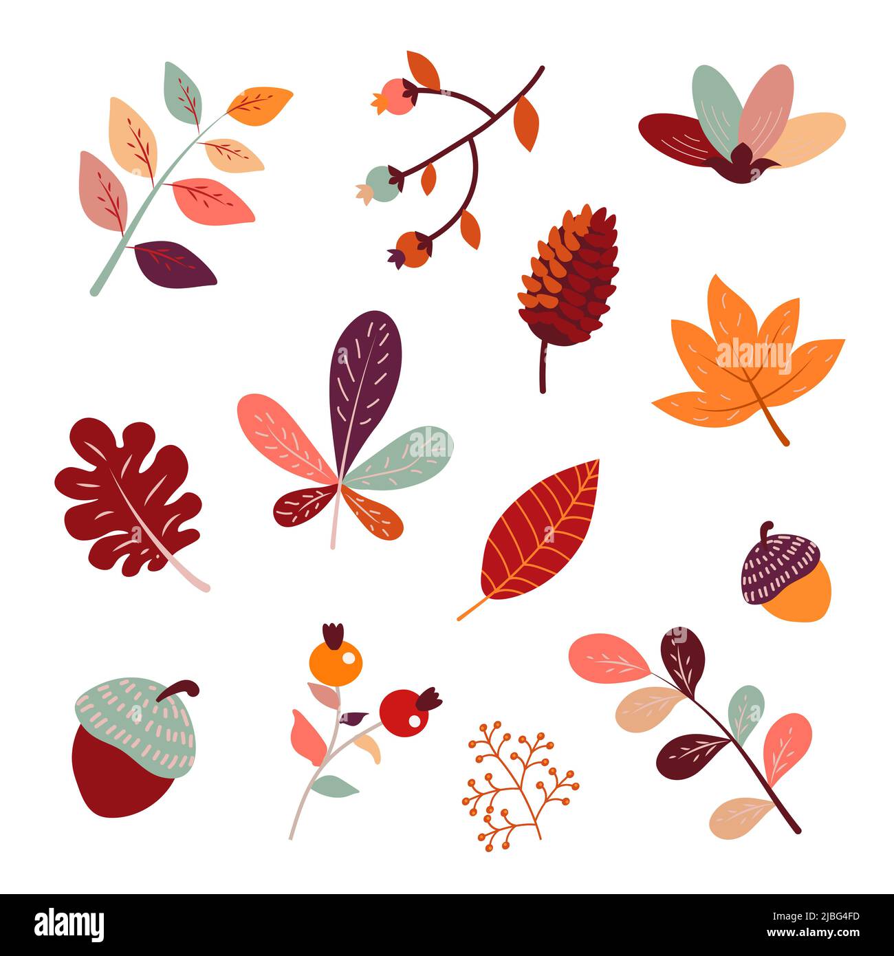 Ensemble d'automne mignon de différentes baies, feuilles et plantes. Bleuet d'automne saisonnier, érable, feuilles de chêne, châtaignier, barberge et gland. Illustration vectorielle plate automatique isolée sur fond blanc. Illustration de Vecteur