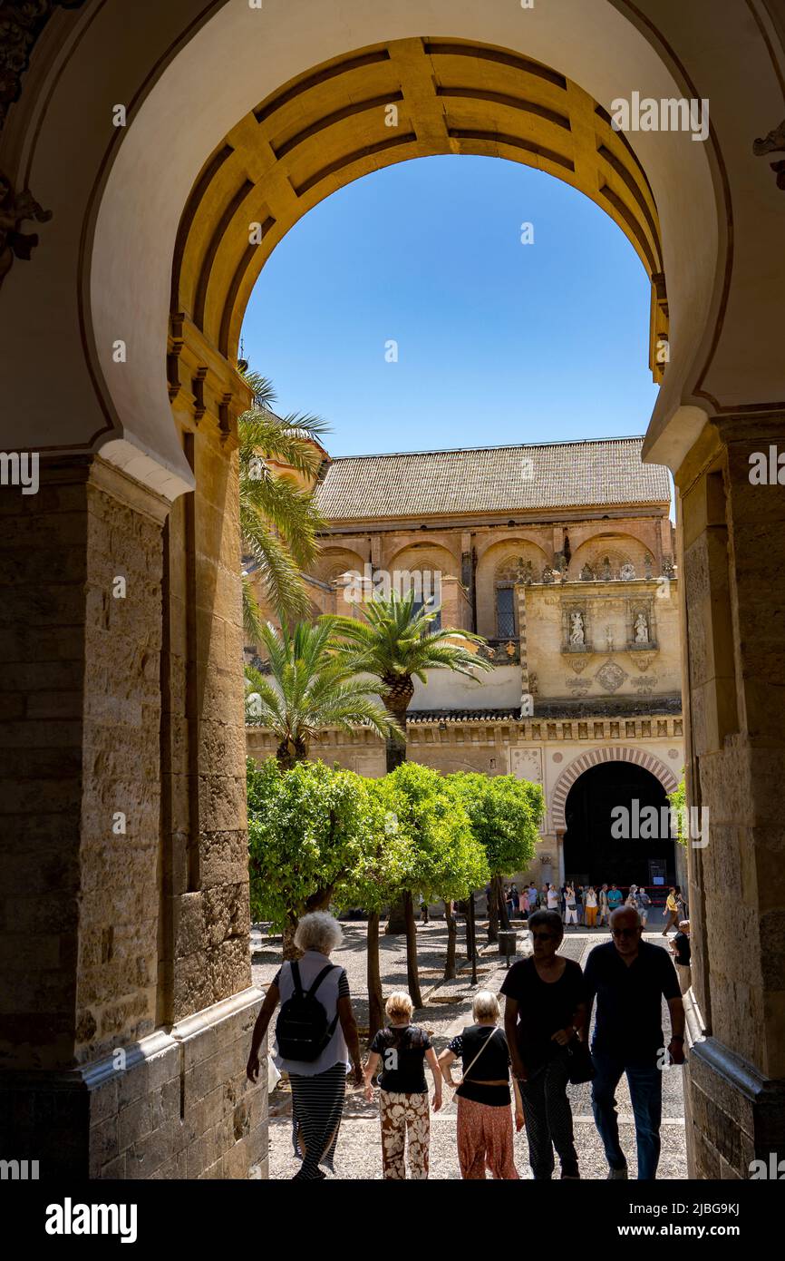 Mosquée–Cathédrale de Cordoue Espagne Banque D'Images