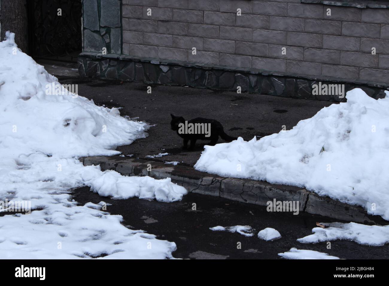Rue enneigée dans le centre-ville. Chat noir marchant sur un trottoir enneigé en hiver, Bucarest, Roumanie Banque D'Images