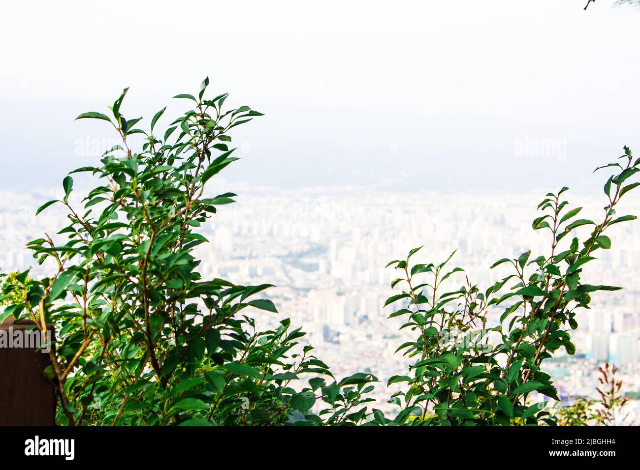 L'image du paysage urbain du sommet de la montagne Apsan à Daegu, en Corée. Banque D'Images