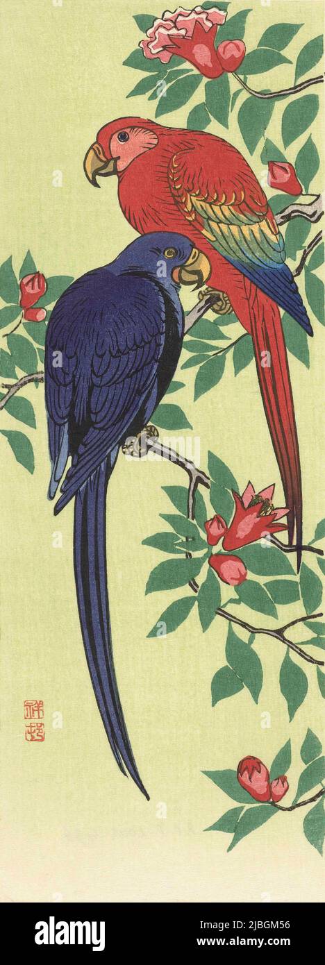 Un perroquet rouge et bleu, par l'artiste japonais Ohara Koson, 1877 - 1945. Ohara Koson faisait partie du mouvement Shin-hanga, ou de nouveaux tirages. Banque D'Images