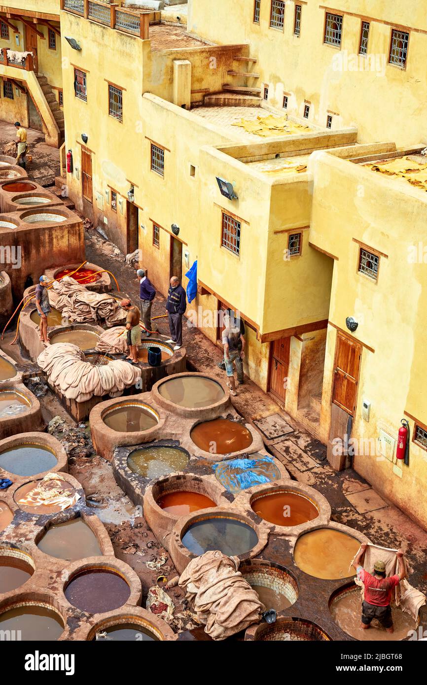 Maroc Fez. Chouara Tannery Banque D'Images