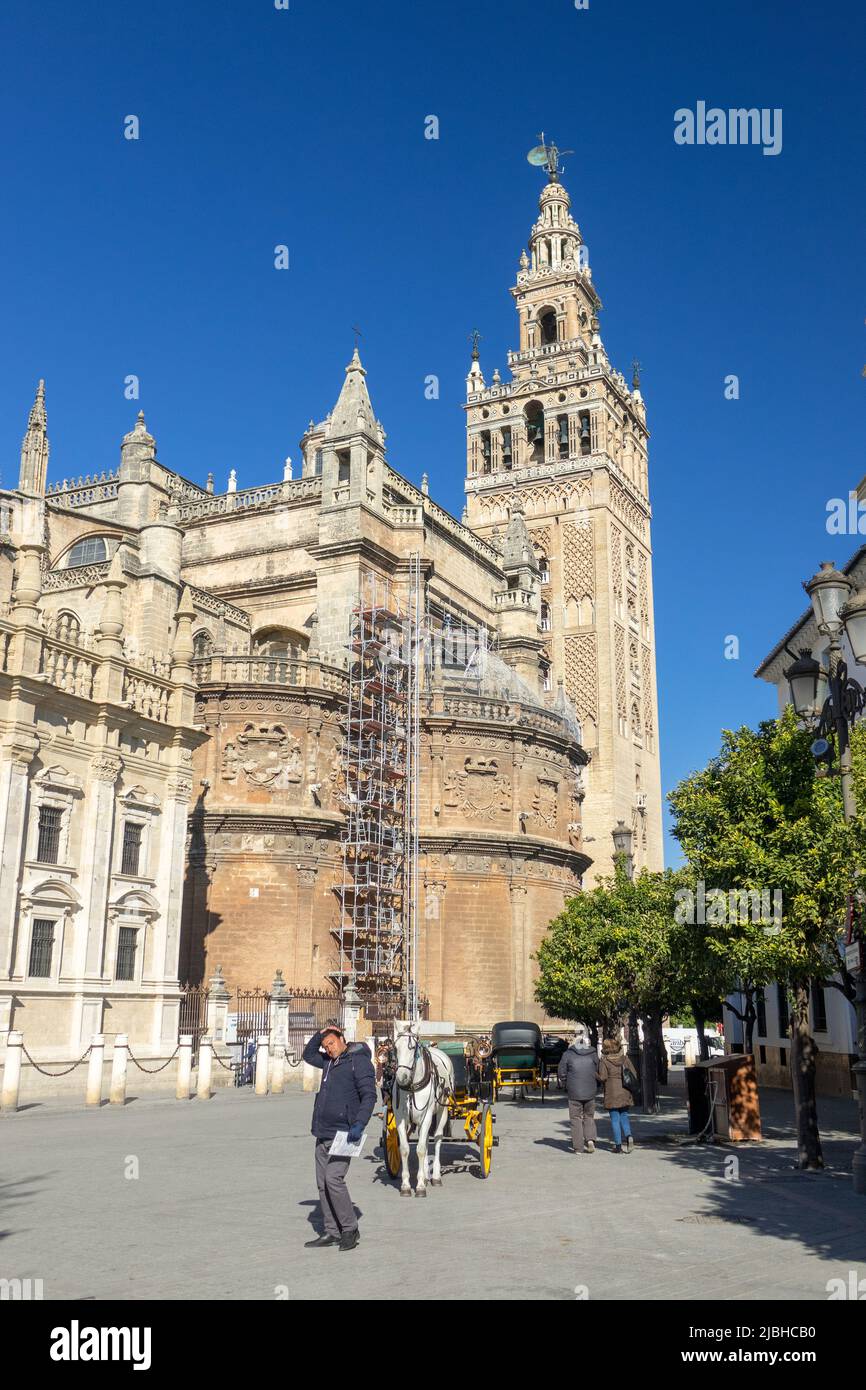 La Tour de la Giralda de la Cathédrale de Séville la Cathédrale de Sainte Marie du Siège (Catedral de Santa María de la Sede), Séville Espagne Banque D'Images