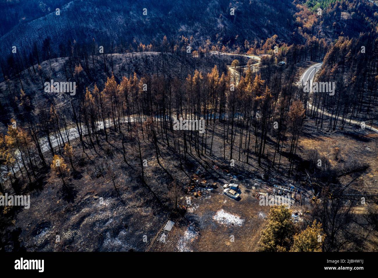 Vue plongeante des forêts brûlées avec le drone. Arbres brûlés Banque D'Images