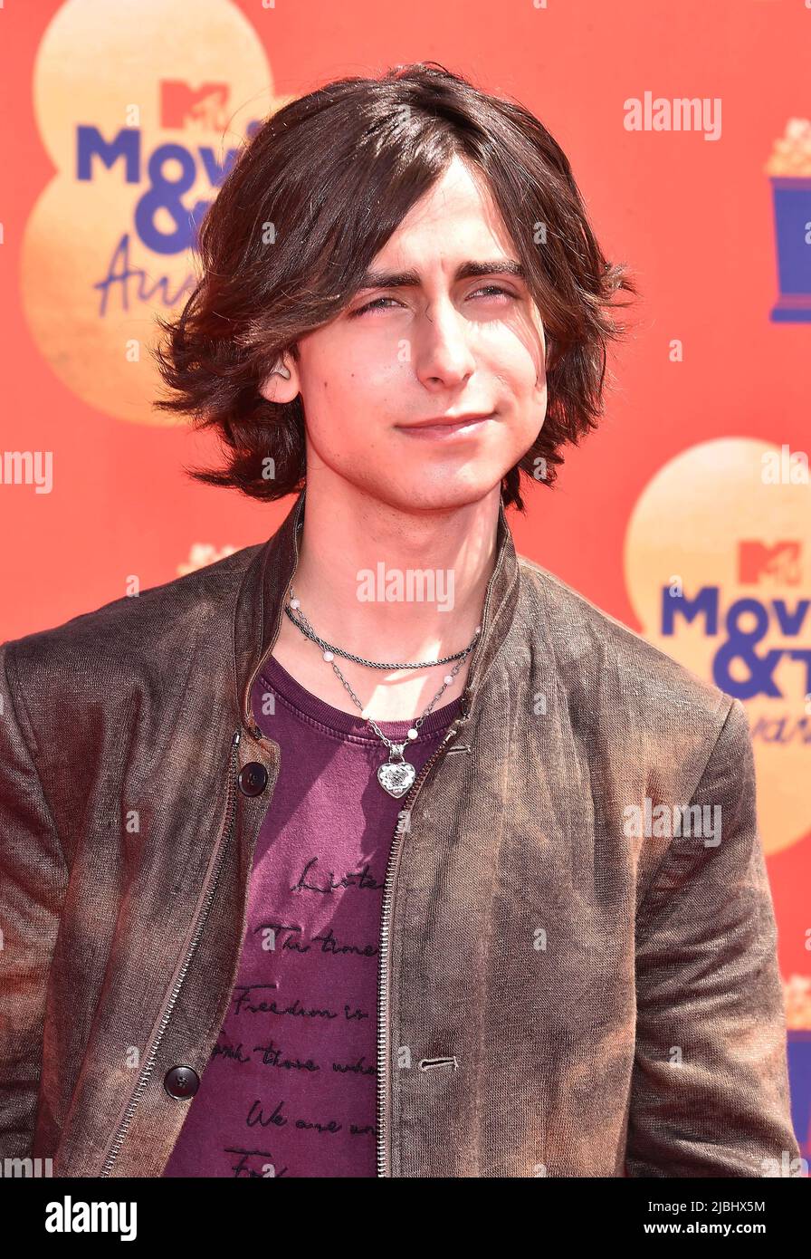 SANTA MONICA, CA - 05 JUIN : Aidan Gallagher participe aux MTV Movie & TV Awards 2022 au Barker Hangar on 05 juin 2022 à Santa Monica, Californie. Banque D'Images