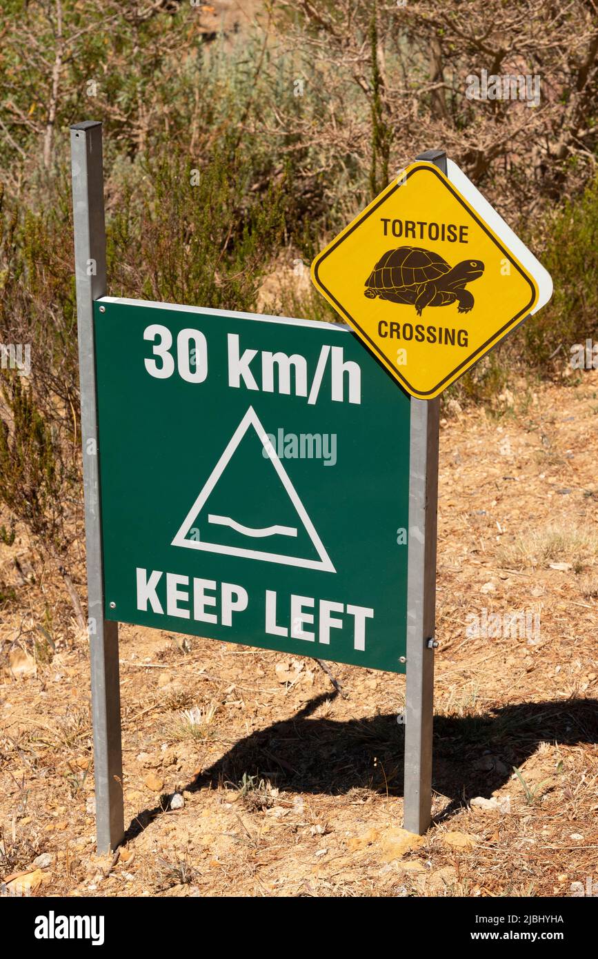 Cap occidental, Afrique du Sud. 2022. Signalisation routière de franchissement de tortue avec le signe vert de vitesse de 30 KM. Cap occidental, Afrique du Sud. Banque D'Images