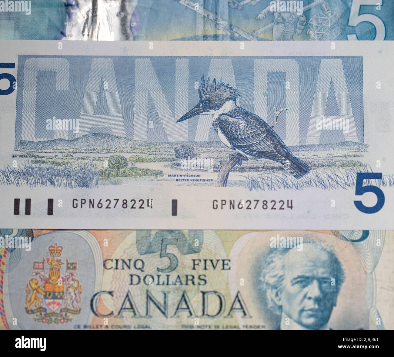 Toronto, Canada - 30 octobre. 2021: Billet d'oiseau du Canada, billet de cinq dollars. Argent canadien, billets de cinq et dix dollars Banque D'Images
