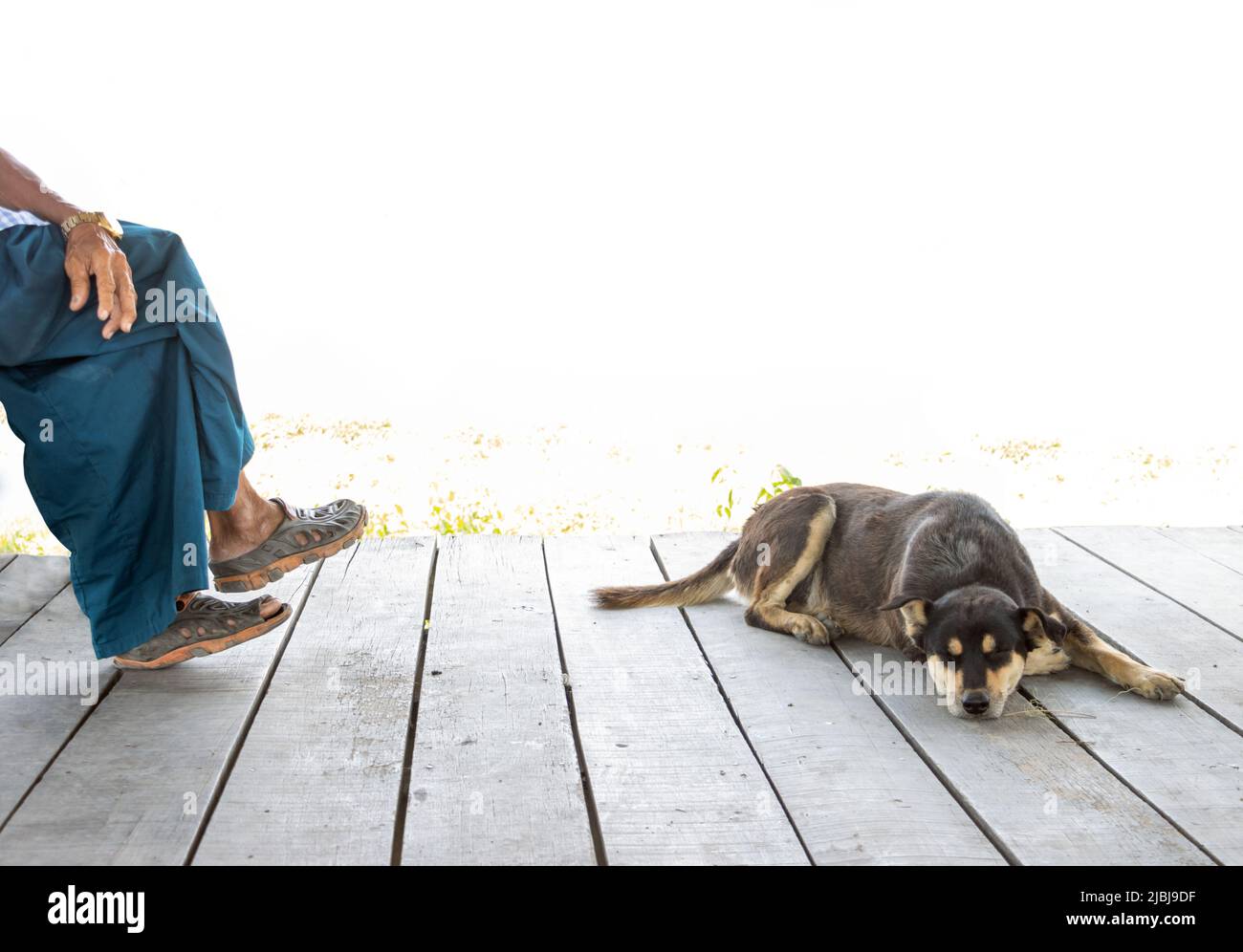 Jambes d'un homme assis avec un chien couché sur le sol en contre-jour Banque D'Images
