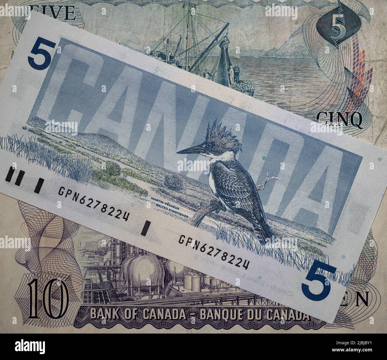 Toronto, Canada - 30 octobre. 2021 : les oiseaux du Canada et les scènes du Canada dessechent sur les billets canadiens. Billets en dollars canadiens Banque D'Images