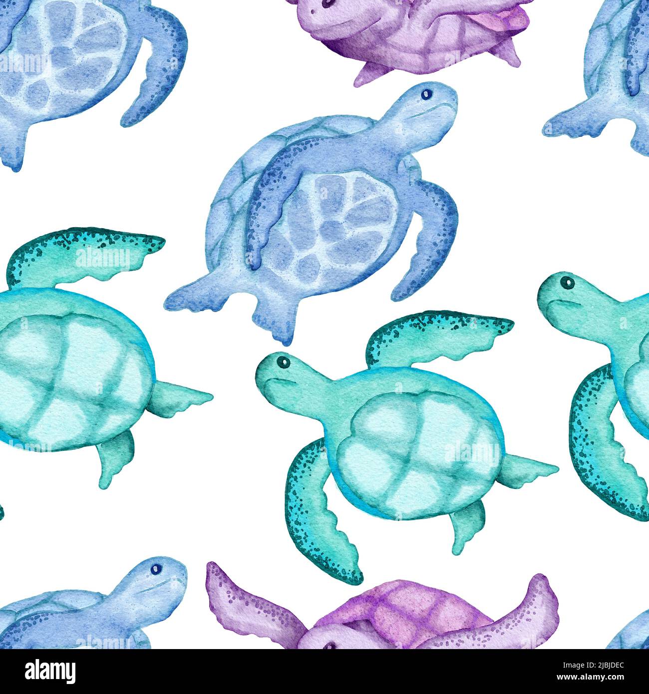 Aquarelle dessin à la main sans couture avec des animaux marins sous-marins coquillages poissons. Bleu-violet algues jellyfish, océan mer été vacances fond de plage, tissu turquoise imprimé Banque D'Images
