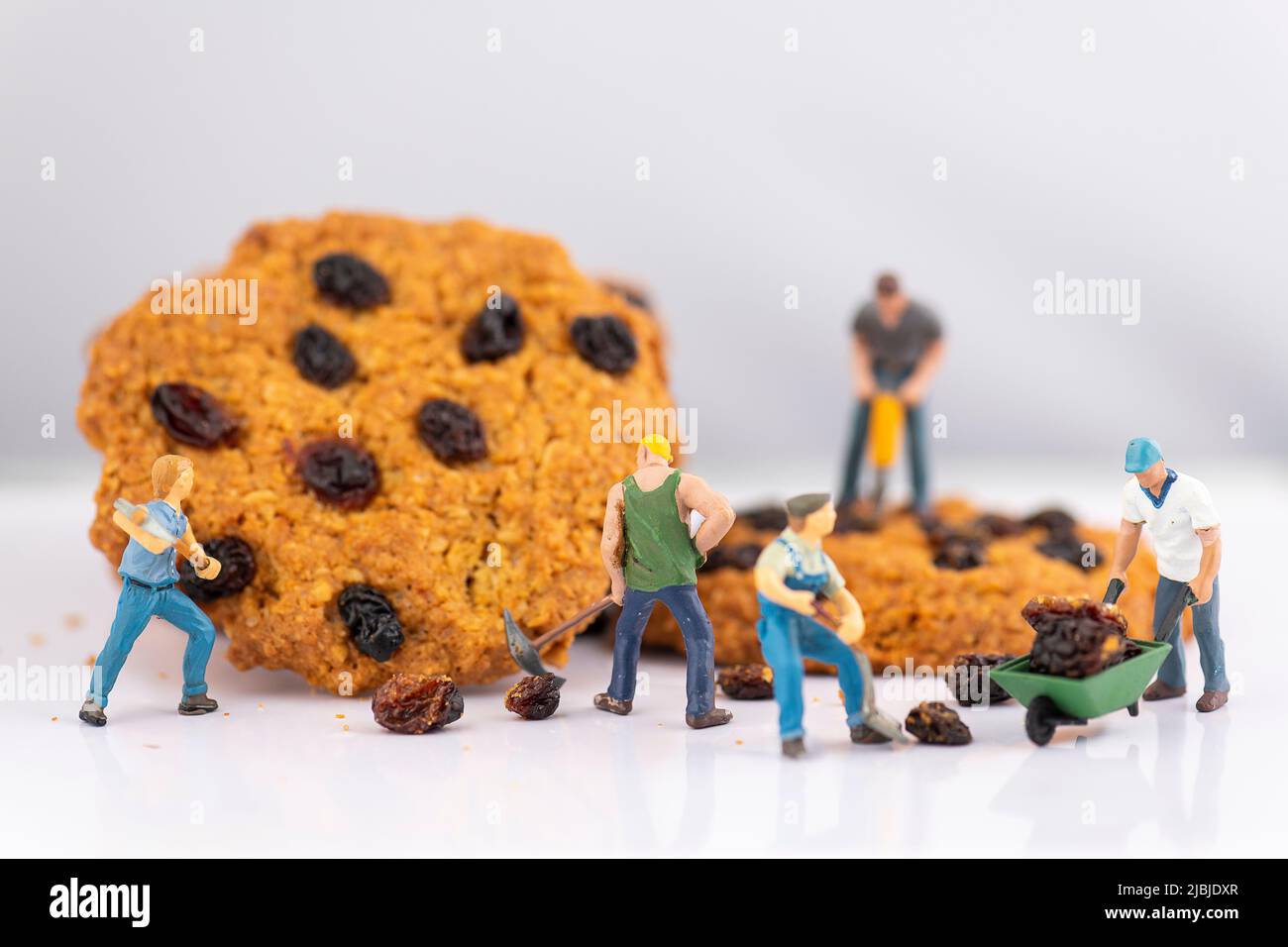 Personnes miniatures, petit modèle de figure humaine enlever les raisins secs des biscuits Banque D'Images