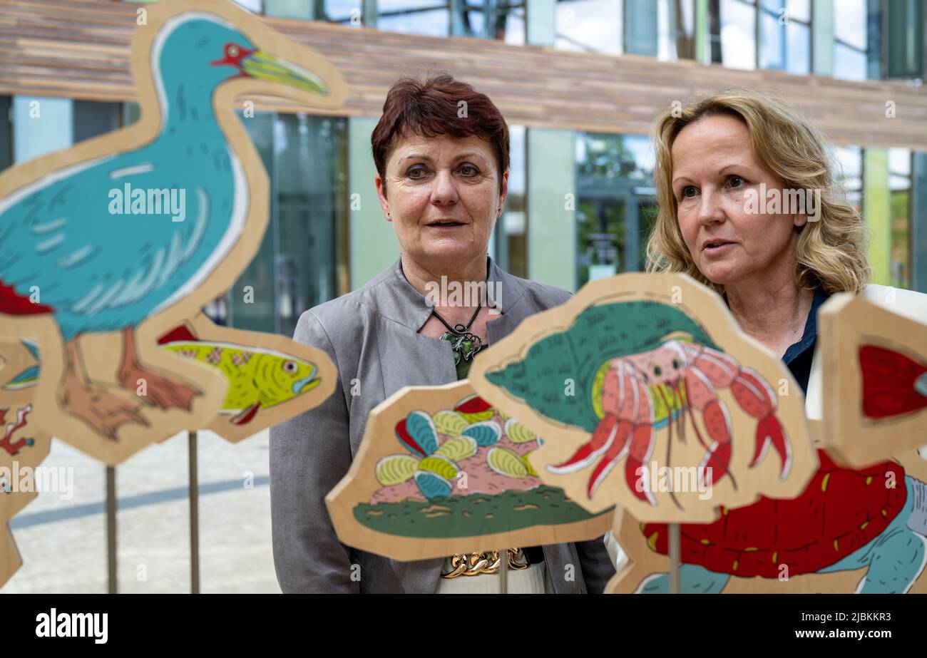07 juin 2022, Saxe-Anhalt, Dessau-Roßlau: Steffi Lemke (Bündnis 90/Die Grünen, r), Ministre fédéral de l'environnement, et son homologue tchèque Anna Hubácková regardent une installation interactive sur la situation des océans à l'Agence fédérale de l'environnement de Dessau-Roßlau. Les deux ministres se réunissent pour un échange approfondi. Les discussions, qui se dérouleront à l'approche de la présidence tchèque du Conseil de l'UE du 1 juillet 2022, seront axées non seulement sur la protection de l'Elbe, mais aussi sur l'adaptation au climat et la protection du climat naturel, entre autres sujets. La République tchèque a été un ap important Banque D'Images